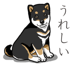 Wanko-Biyori Puppy of Black Shiba Inu sticker #13773322