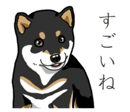 Wanko-Biyori Puppy of Black Shiba Inu sticker #13773323