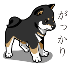 Wanko-Biyori Puppy of Black Shiba Inu sticker #13773324
