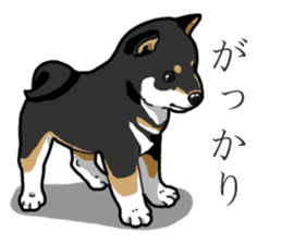 Wanko-Biyori Puppy of Black Shiba Inu sticker #13773324