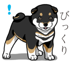 Wanko-Biyori Puppy of Black Shiba Inu sticker #13773329