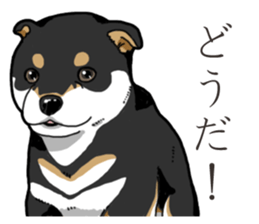 Wanko-Biyori Puppy of Black Shiba Inu sticker #13773330