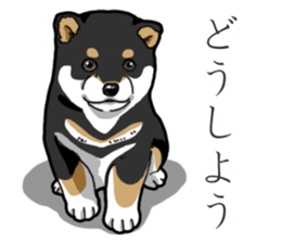Wanko-Biyori Puppy of Black Shiba Inu sticker #13773331