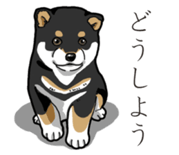 Wanko-Biyori Puppy of Black Shiba Inu sticker #13773331
