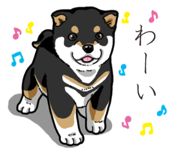 Wanko-Biyori Puppy of Black Shiba Inu sticker #13773332