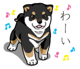 Wanko-Biyori Puppy of Black Shiba Inu sticker #13773332