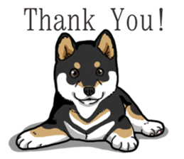 Wanko-Biyori Puppy of Black Shiba Inu sticker #13773333