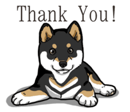 Wanko-Biyori Puppy of Black Shiba Inu sticker #13773333