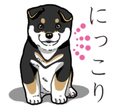 Wanko-Biyori Puppy of Black Shiba Inu sticker #13773335