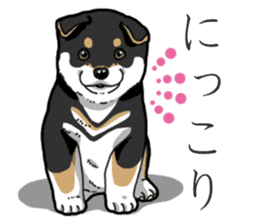 Wanko-Biyori Puppy of Black Shiba Inu sticker #13773335