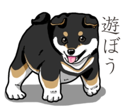 Wanko-Biyori Puppy of Black Shiba Inu sticker #13773337