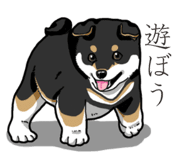 Wanko-Biyori Puppy of Black Shiba Inu sticker #13773337