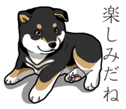 Wanko-Biyori Puppy of Black Shiba Inu sticker #13773338