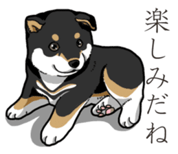 Wanko-Biyori Puppy of Black Shiba Inu sticker #13773338