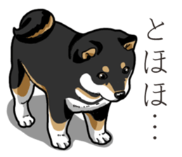 Wanko-Biyori Puppy of Black Shiba Inu sticker #13773339