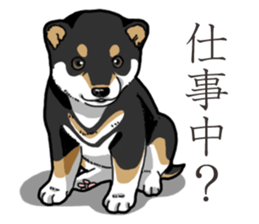 Wanko-Biyori Puppy of Black Shiba Inu sticker #13773340