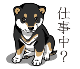 Wanko-Biyori Puppy of Black Shiba Inu sticker #13773340