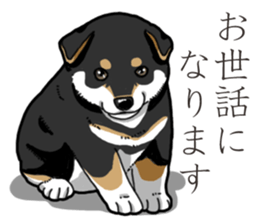 Wanko-Biyori Puppy of Black Shiba Inu sticker #13773343