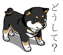 Wanko-Biyori Puppy of Black Shiba Inu sticker #13773345