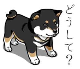 Wanko-Biyori Puppy of Black Shiba Inu sticker #13773345