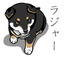 Wanko-Biyori Puppy of Black Shiba Inu sticker #13773347
