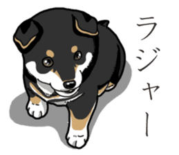 Wanko-Biyori Puppy of Black Shiba Inu sticker #13773347