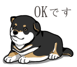 Wanko-Biyori Puppy of Black Shiba Inu sticker #13773349