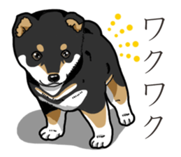 Wanko-Biyori Puppy of Black Shiba Inu sticker #13773350