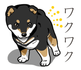 Wanko-Biyori Puppy of Black Shiba Inu sticker #13773350