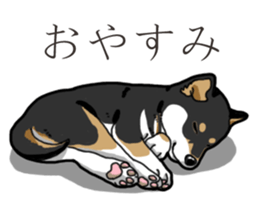Wanko-Biyori Puppy of Black Shiba Inu sticker #13773351