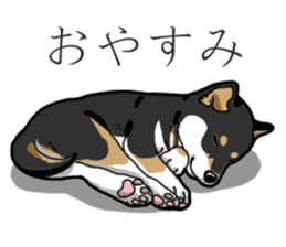 Wanko-Biyori Puppy of Black Shiba Inu sticker #13773351