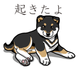 Wanko-Biyori Puppy of Black Shiba Inu sticker #13773352
