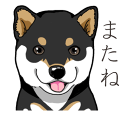 Wanko-Biyori Puppy of Black Shiba Inu sticker #13773353