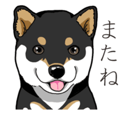 Wanko-Biyori Puppy of Black Shiba Inu sticker #13773353