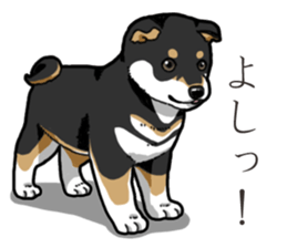 Wanko-Biyori Puppy of Black Shiba Inu sticker #13773354