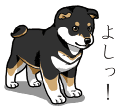 Wanko-Biyori Puppy of Black Shiba Inu sticker #13773354