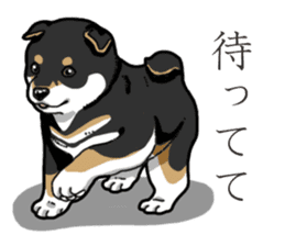 Wanko-Biyori Puppy of Black Shiba Inu sticker #13773356