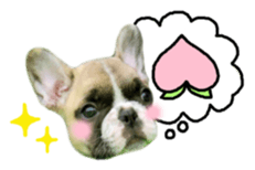 MOMOJI TO ISSHO sticker #13773814