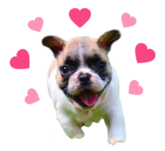 MOMOJI TO ISSHO sticker #13773815