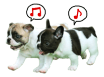 MOMOJI TO ISSHO sticker #13773816