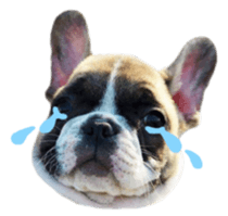 MOMOJI TO ISSHO sticker #13773817