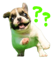 MOMOJI TO ISSHO sticker #13773819