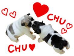 MOMOJI TO ISSHO sticker #13773820