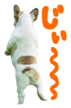 MOMOJI TO ISSHO sticker #13773821