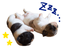 MOMOJI TO ISSHO sticker #13773822