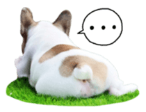 MOMOJI TO ISSHO sticker #13773823