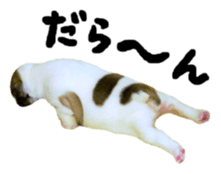 MOMOJI TO ISSHO sticker #13773825