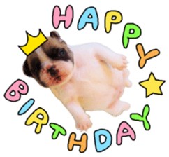 MOMOJI TO ISSHO sticker #13773827