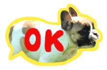 MOMOJI TO ISSHO sticker #13773828