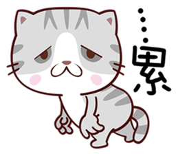 Dear Kitten sticker #13774961